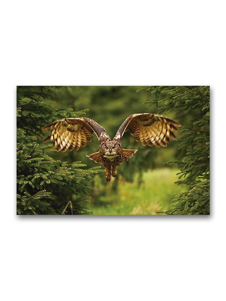 The Eurasian Eagle-owl Flying Poster -Image by Shutterstock