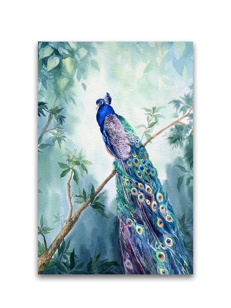 Watercolor Peacock In Landscape Poster -Image by Shutterstock