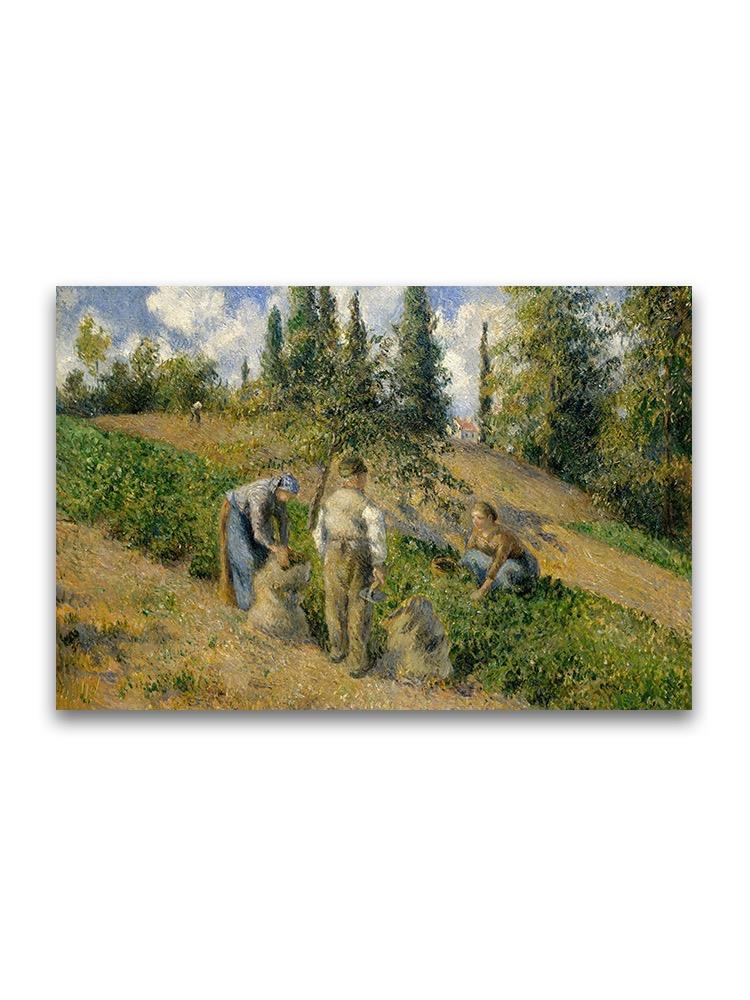 The Harvest Camille Pissarro Poster -Image by Shutterstock