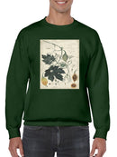 Botanical Drawings And Notes Sweatshirt -A. Descubes Designs