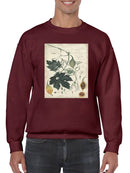 Botanical Drawings And Notes Sweatshirt -A. Descubes Designs