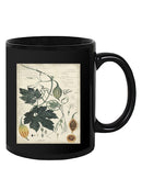 Botanical Drawings And Notes Mug -A. Descubes Designs