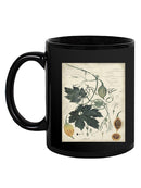 Botanical Drawings And Notes Mug -A. Descubes Designs