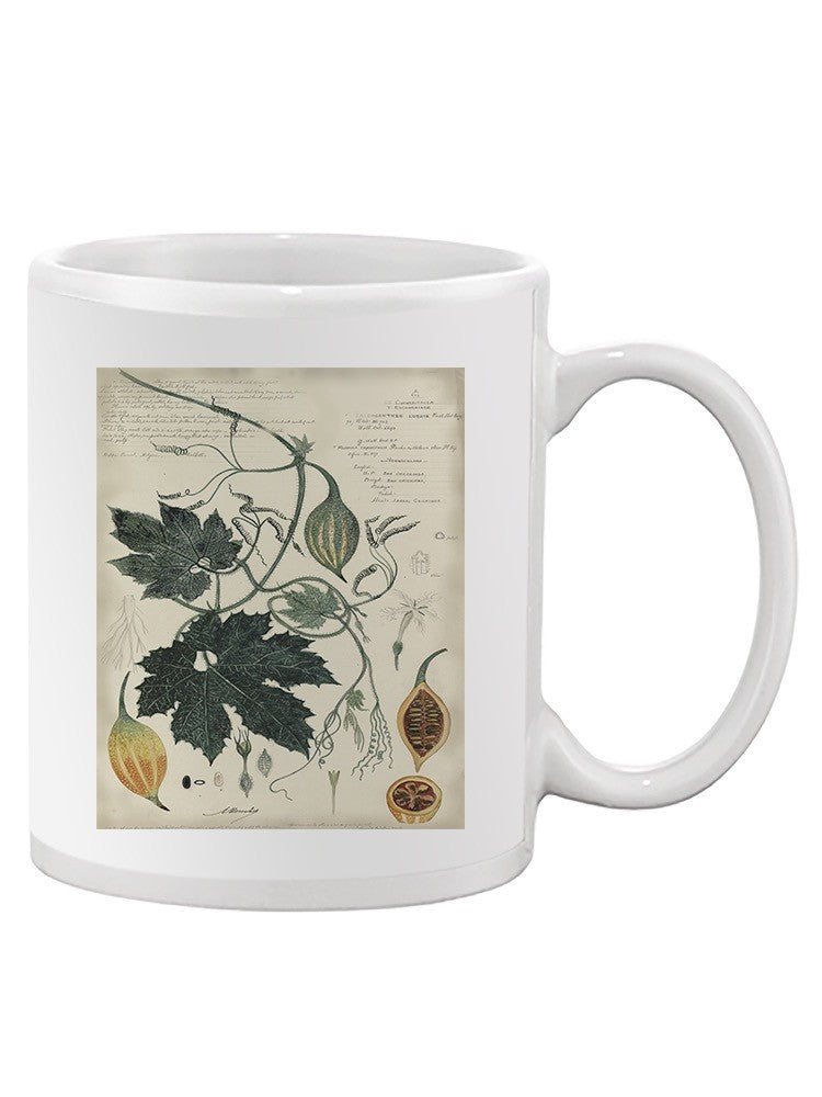 Botanical Drawings And Notes Mug -A. Descubes Designs