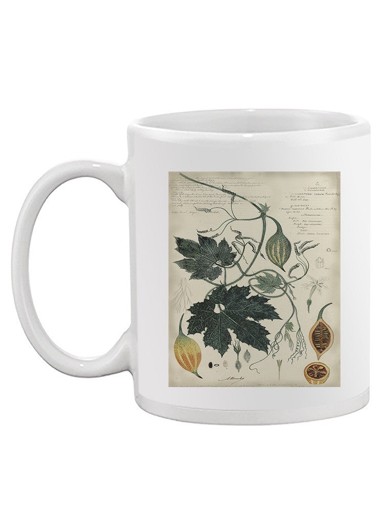 Botanical Drawings And Notes Mug -A. Descubes Designs