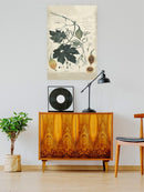 Botanical Drawings And Notes Wall Art -A. Descubes Designs