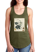 Botanical Drawings And Notes T-shirt -A. Descubes Designs