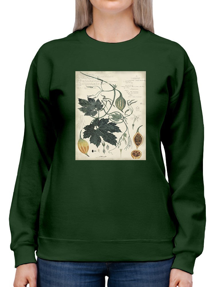 Botanical Drawings And Notes Sweatshirt -A. Descubes Designs