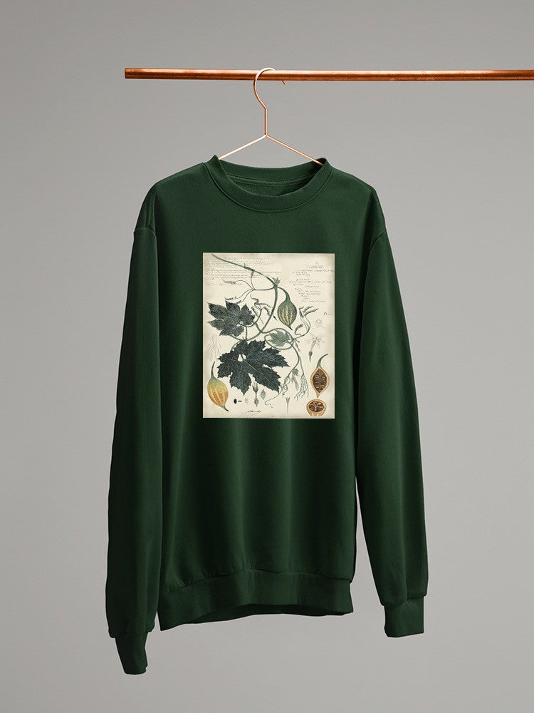 Botanical Drawings And Notes Sweatshirt -A. Descubes Designs