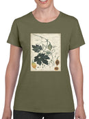 Botanical Drawings And Notes T-shirt -A. Descubes Designs