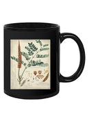 Botanical Notes And Drawings Mug -A. Descubes Designs