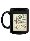 Botanical Notes And Drawings Mug -A. Descubes Designs