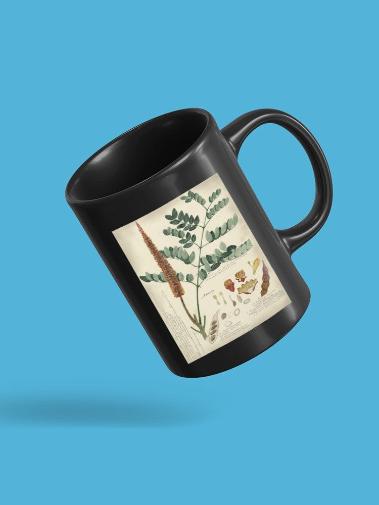 Botanical Notes And Drawings Mug -A. Descubes Designs