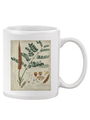 Botanical Notes And Drawings Mug -A. Descubes Designs