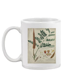Botanical Notes And Drawings Mug -A. Descubes Designs