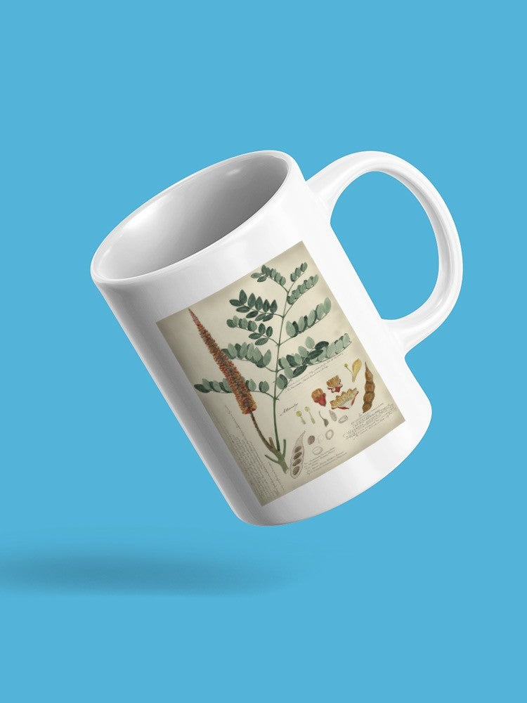 Botanical Notes And Drawings Mug -A. Descubes Designs