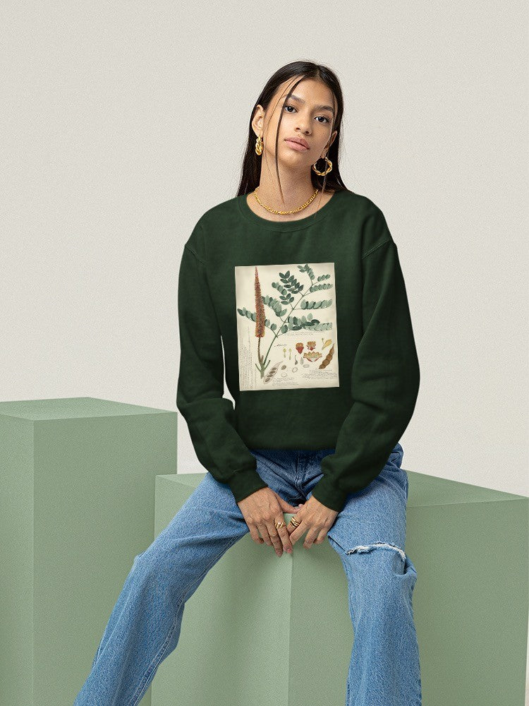 Botanical Notes And Drawings Sweatshirt -A. Descubes Designs