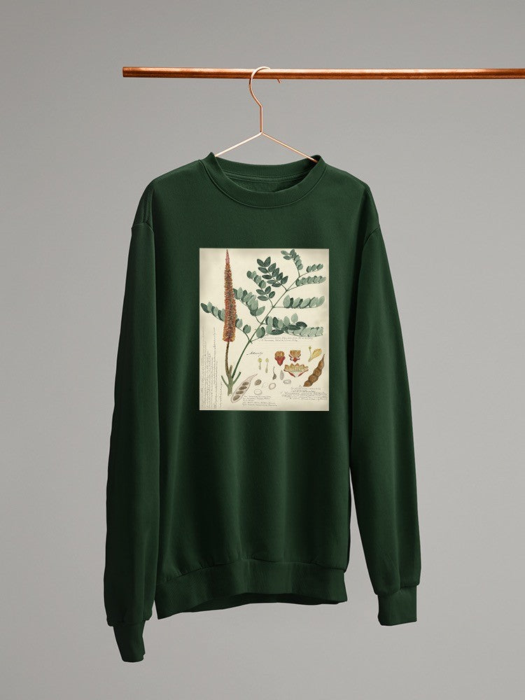 Botanical Notes And Drawings Sweatshirt -A. Descubes Designs