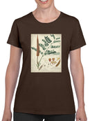 Botanical Notes And Drawings T-shirt -A. Descubes Designs
