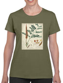 Botanical Notes And Drawings T-shirt -A. Descubes Designs