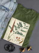 Botanical Notes And Drawings T-shirt -A. Descubes Designs