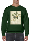 Descube Botanical I Sweatshirt -A. Descubes Designs