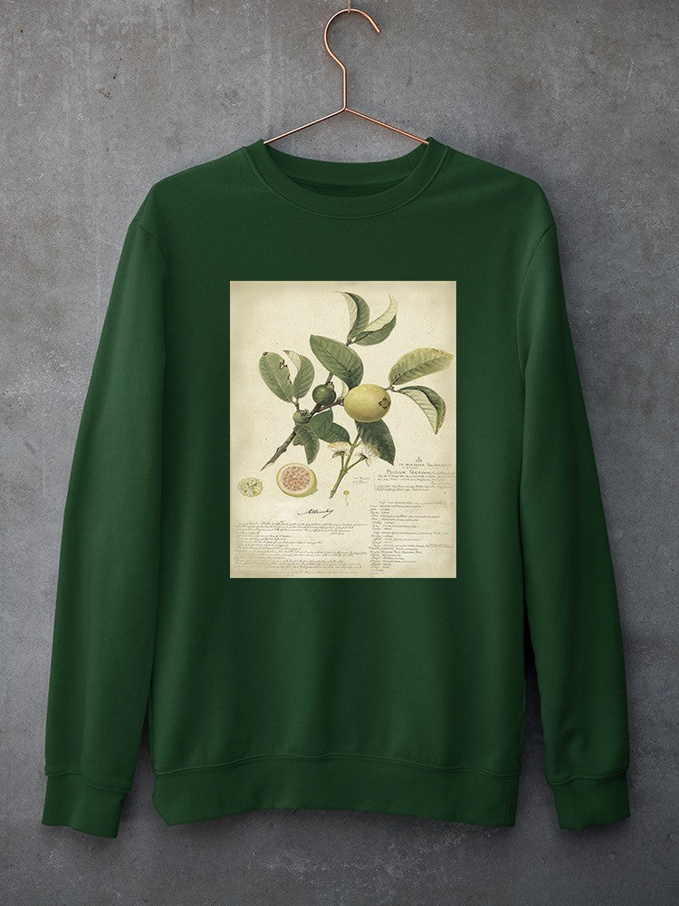 Descube Botanical I Sweatshirt -A. Descubes Designs