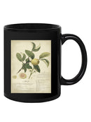 Descube Botanical I Mug -A. Descubes Designs