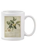 Descube Botanical I Mug -A. Descubes Designs