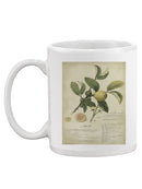 Descube Botanical I Mug -A. Descubes Designs
