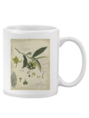 Descube Botanical Ii Mug -A. Descubes Designs