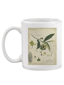 Descube Botanical Ii Mug -A. Descubes Designs