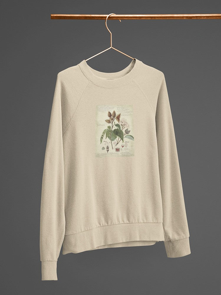 Botanical Notes Sweatshirt -A. Descubes Designs
