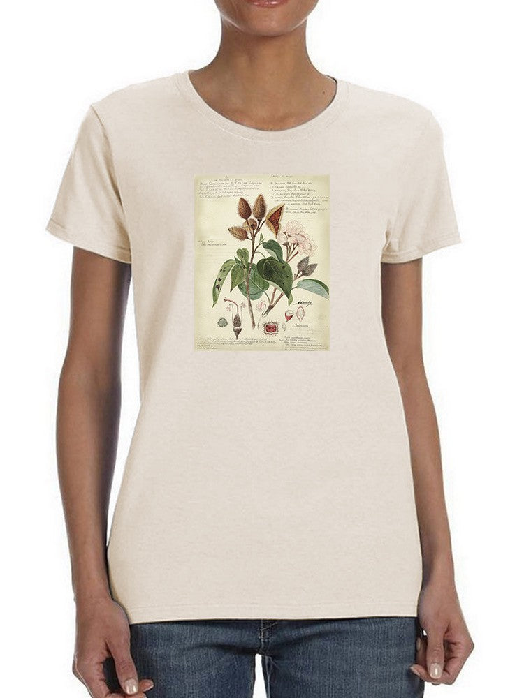 Botanical Notes T-shirt -A. Descubes Designs