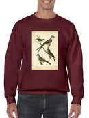 Wilsons Flycatcher  Sweatshirt -Alexander Wilson Designs