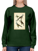 Wilsons Flycatcher  Sweatshirt -Alexander Wilson Designs