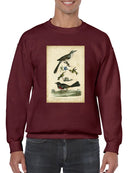 Custom Wilsons Mockingbird. Sweatshirt -Alexander Wilson Designs