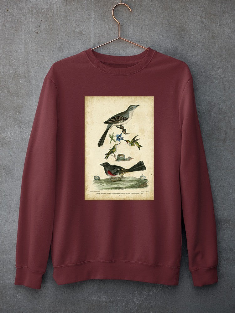 Custom Wilsons Mockingbird. Sweatshirt -Alexander Wilson Designs