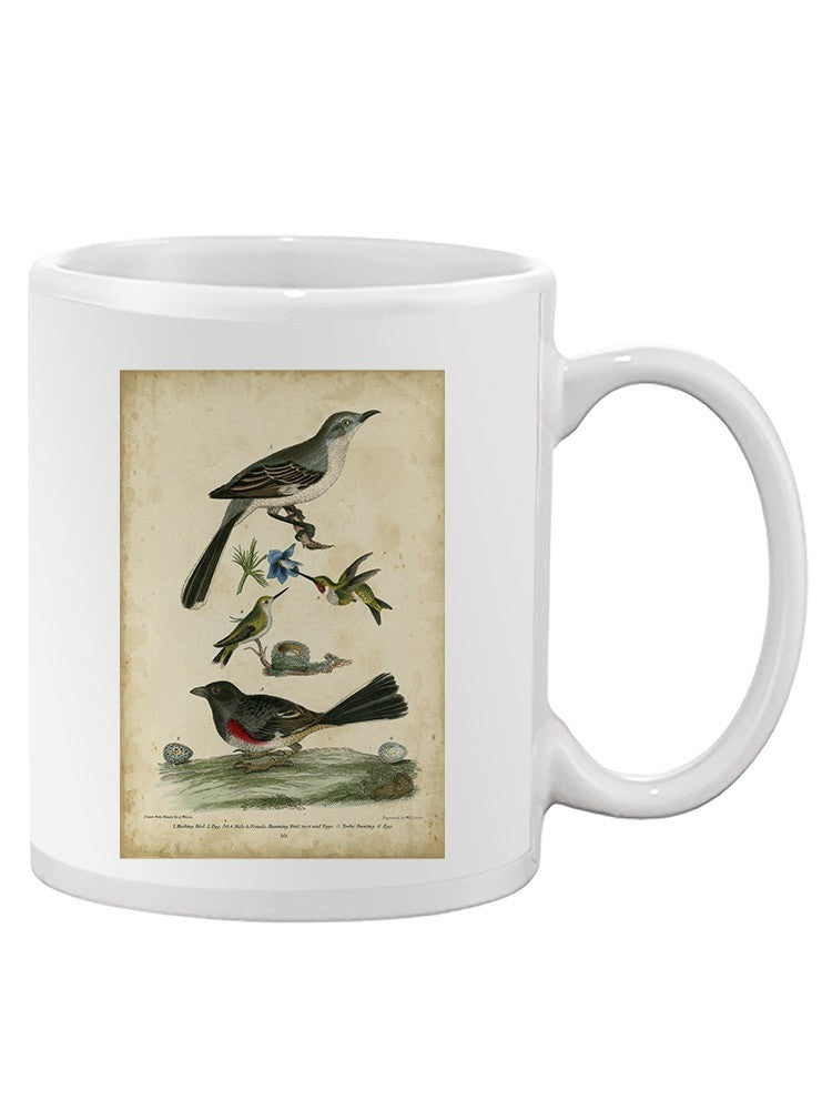 Custom Wilsons Mockingbird. Mug -Alexander Wilson Designs