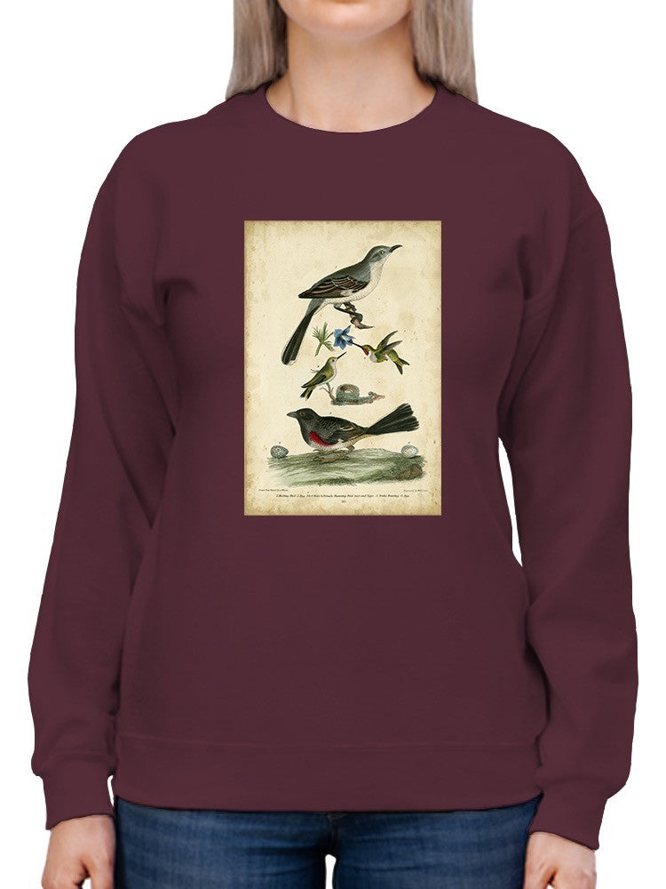 Custom Wilsons Mockingbird. Sweatshirt -Alexander Wilson Designs