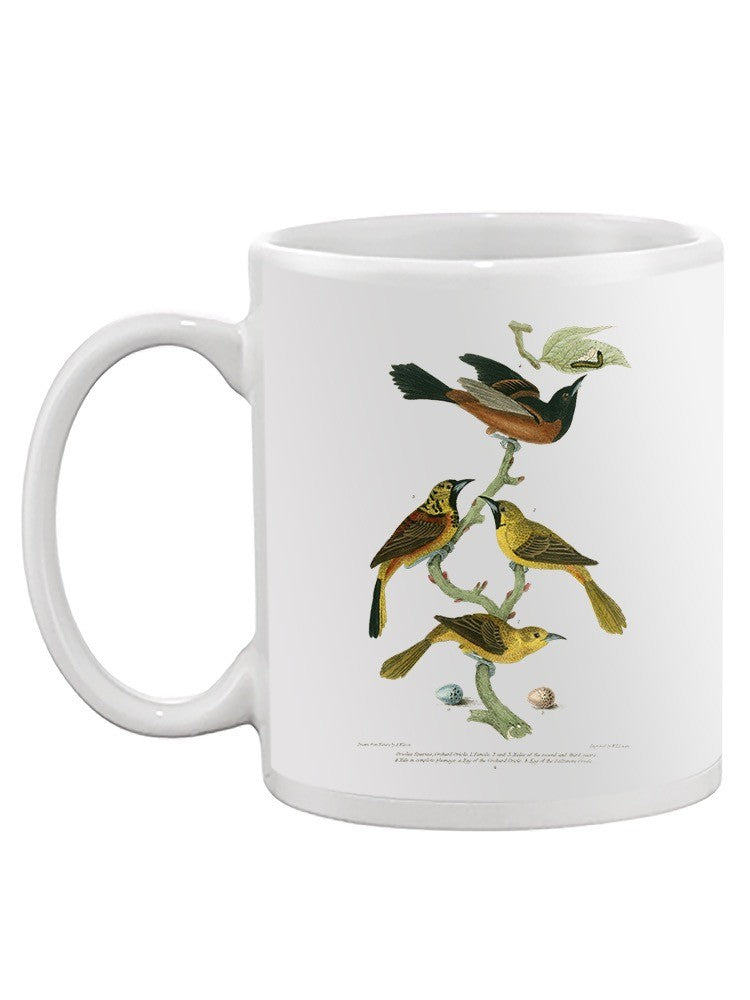 Orchard And Birds Mug -Alexander Wilson Designs