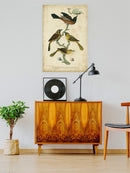 Orchard And Birds Wall Art -Alexander Wilson Designs