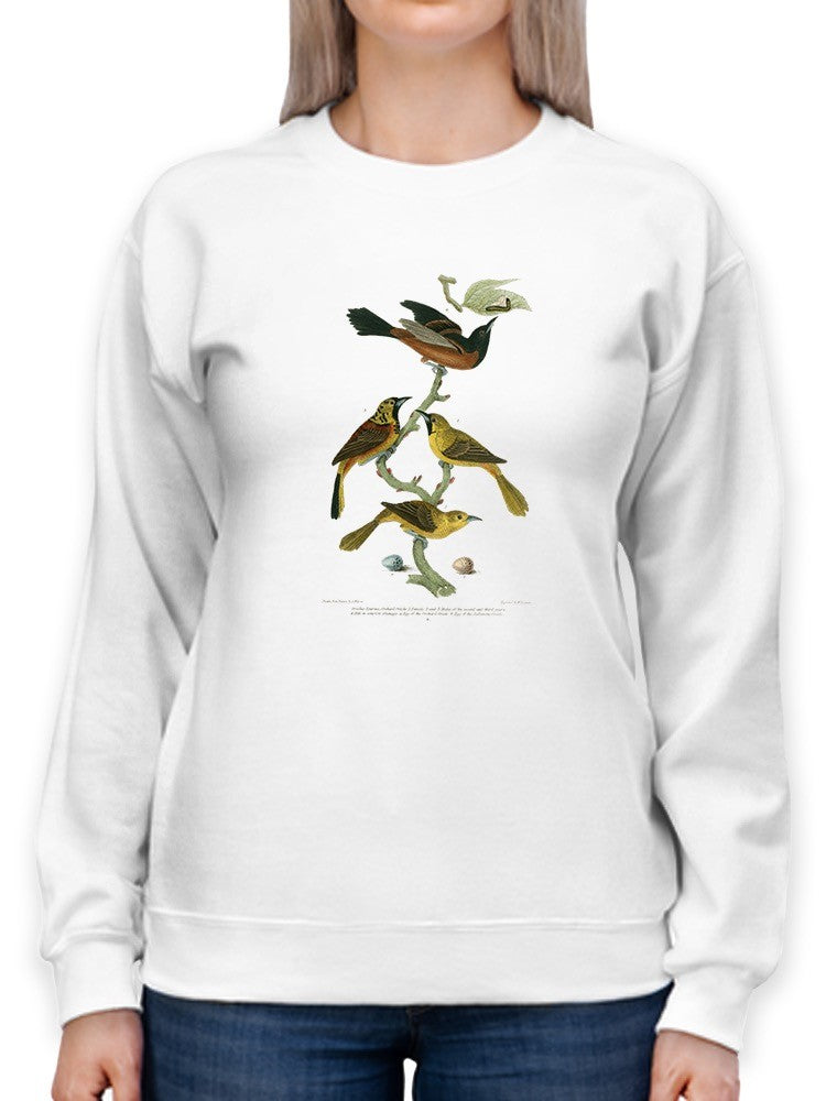Orchard And Birds Sweatshirt -Alexander Wilson Designs