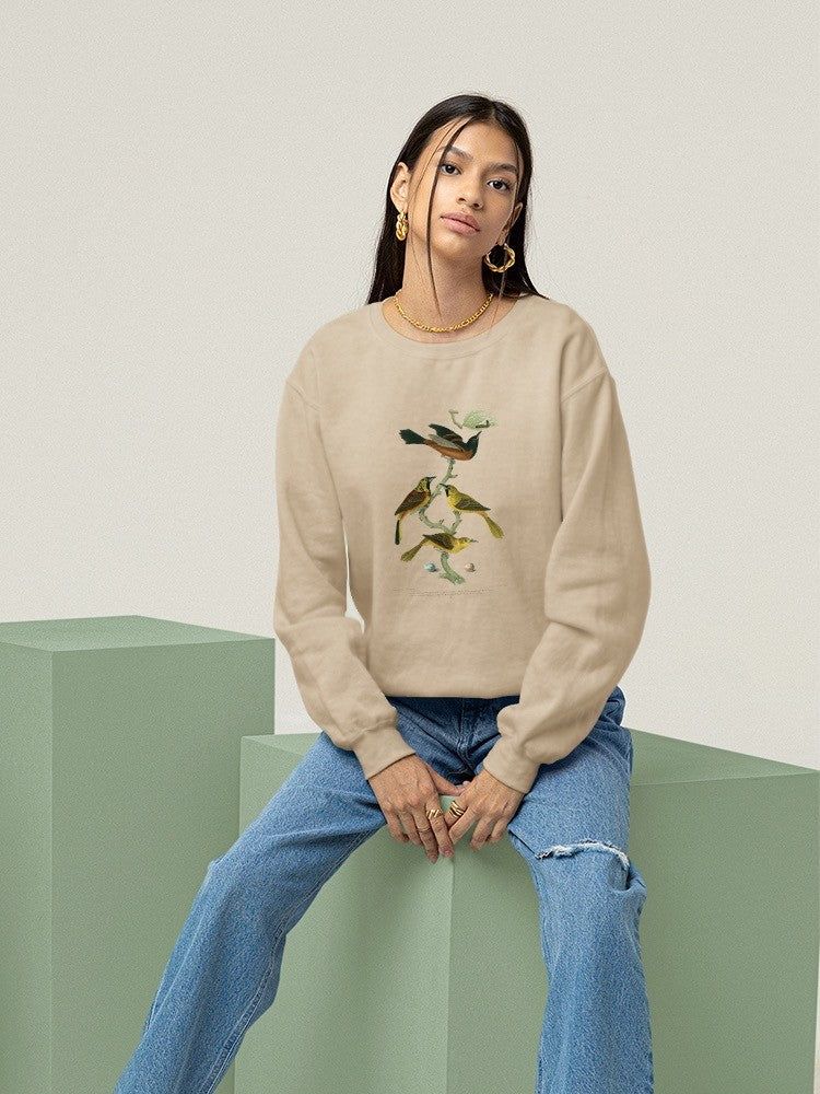 Orchard And Birds Sweatshirt -Alexander Wilson Designs