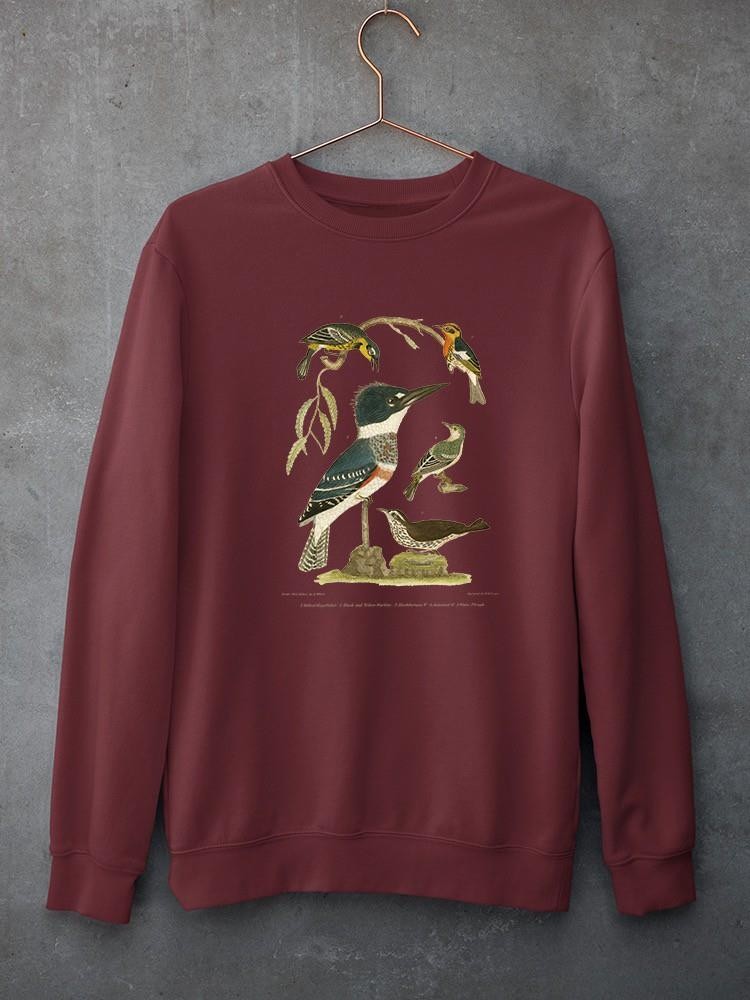 Antique Kingfisher Sweatshirt -Alexander Wilson Designs