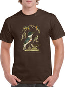 Antique Kingfisher T-shirt -Alexander Wilson Designs