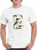 Antique Kingfisher T-shirt -Alexander Wilson Designs