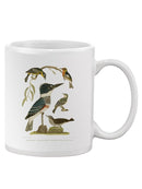 Antique Kingfisher Mug -Alexander Wilson Designs
