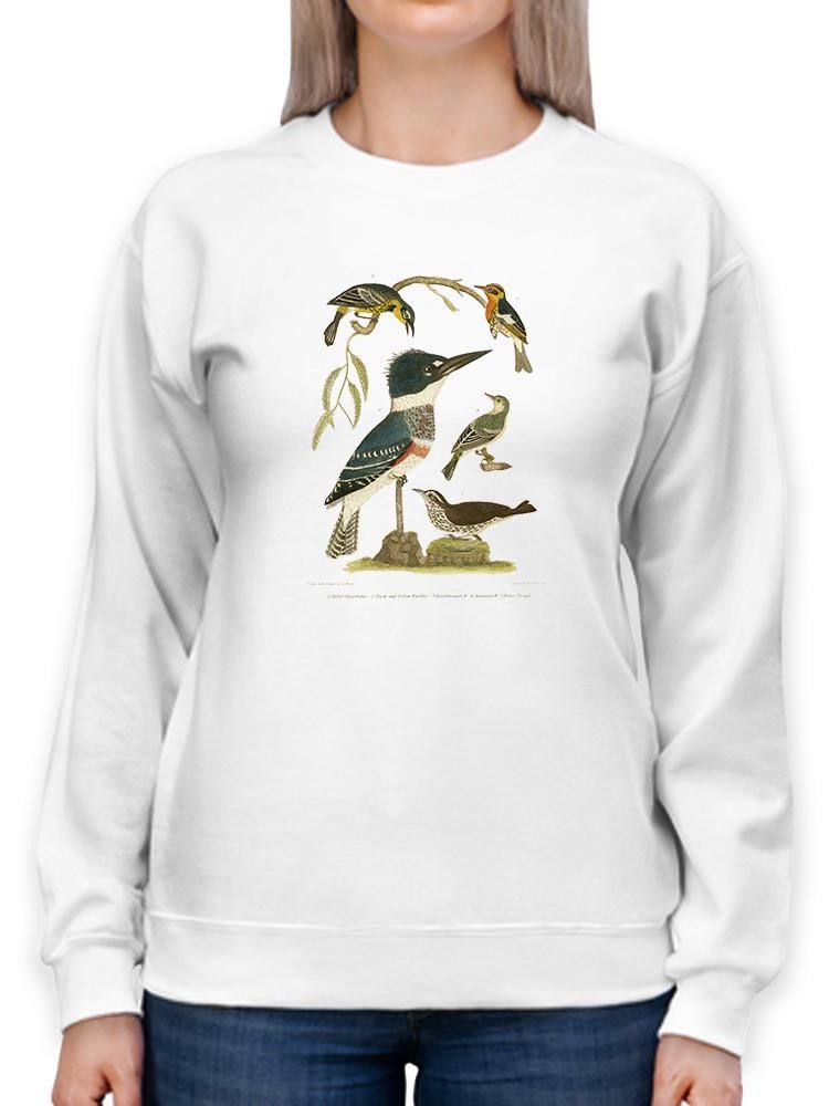 Antique Kingfisher Sweatshirt -Alexander Wilson Designs