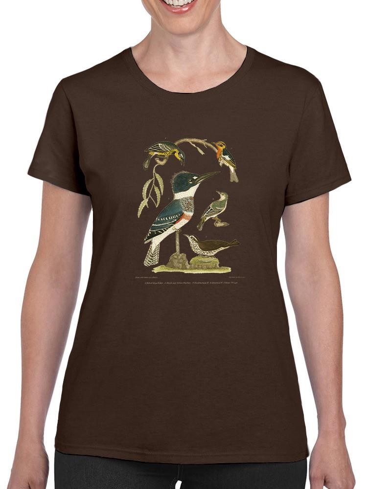 Antique Kingfisher T-shirt -Alexander Wilson Designs
